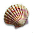 Living Legends: Voice of the Sea Collector's Edition icon