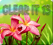 ClearIt 13