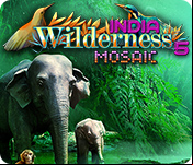 Wilderness Mosaic 5: India